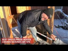 Best Heated Chicken Waterer Diy Tips Troubleshooting Instructions Youtube