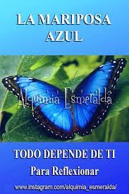 Pin En Motivacion Emprender Creer Crecer Y Sonar