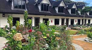 Maybe you would like to learn more about one of these? Tiny Boutique Habitat Hotel Cameron Highlands Deals Photos Reviews