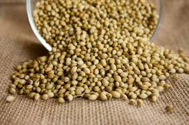 in coriander seeds for weight loss