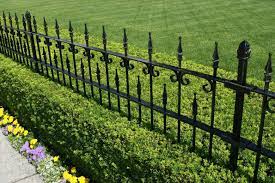 Front yard fence is something that many people use as a form of protection. A Beautiful Wrought Iron Fence In Black With A Manicured Hedge Growing Beneath And A Small Bed Of Flowers Fence Landscaping Wrought Iron Fences Backyard Fences