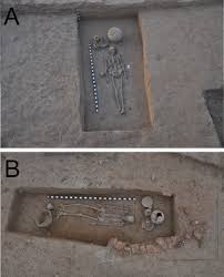 See the bugs section for an explanation about. Archaeological And Anthropological Studies On The Harappan Cemetery Of Rakhigarhi India