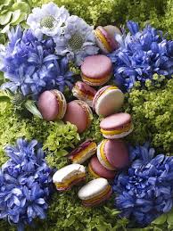 pierre herme paris on twitter macarons macaroons pierre herme macaroons