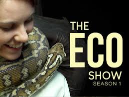 Prime Video: The Eco Show