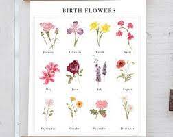 February birth month flowers roses are often given as valentine's day gifts, but violets and primroses are considered the true birth month flowers for february. Pin On Rings And Tatts