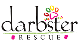 Darbster Bark Crawl