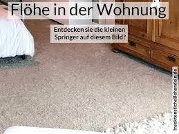 Eine flohplage in der wohnung ist kein spaß. Flohbisse Beim Menschen Was Tun Gegen Flohe Flohstiche Erkennen