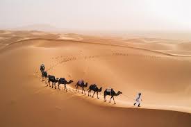 نتیجه جستجوی لغت [nomadic] در گوگل