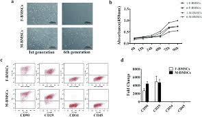Check spelling or type a new query. Comparison Between Mandibular And Femur Derived Bone Marrow Stromal Cells Osteogenic And Angiogenic Potentials In Vitro And Bone Repairing Ability In Rsc Advances Rsc Publishing Doi 10 1039 C7ra07139f