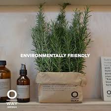 A green, eco hair & beauty salon, farnham. Home Organic Hair Salon Organic Hair Care Organic Hair Color