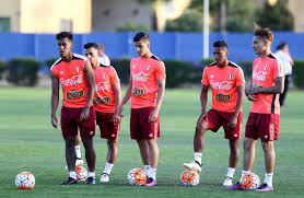 Entérate de todas nuestras noticias aqui. Entrenamiento De La Seleccion Peruana Previo Al Partido Chile Vs Peru Soccer Field Soccer Running
