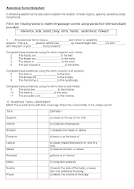 Body Planes Worksheet Orientation And Directional Terms Anatomy Quiz With Simply Body Systems Worksheets Medical Terminology Study Human Anatomy And Physiology