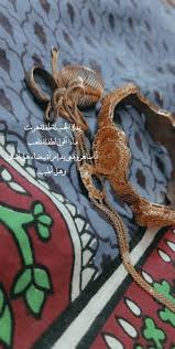 Pin By Marwa On يمني Yemen Yemeni Animals