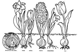 Maak moeilijke keuzes voor een makkelijker leven en extreme vrijheid | motivatie video wat is ervoor nodig om extreme vrijheid en een leven vol leven voor. Mewarna11 Moeilijke Kleurplaten Wolf Die Jankt