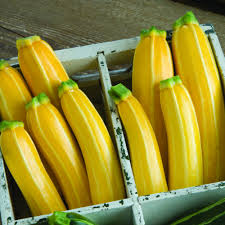 When to plant zucchini seeds in california. Best Vegetables To Grow In California Finegardening