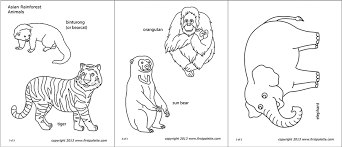 We recommend following them up with some free printables about jungle animals, like our gorilla coloring pages, monkey coloring pages, butterfly coloring pages, tiger coloring pages, frog coloring pages, and snake coloring pages. Asian Jungle Or Rainforest Animals Free Printable Templates Coloring Pages Firstpalette Com
