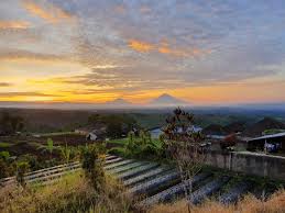 Rumah hobbit paraland resort / 10 gambar rumah hob. Pondok Plantation Colonial Style Villa With Breathtaking Views Baturiti Bedugul