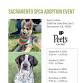 Coffee Date with Adoptable Dogs! event image