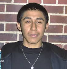 The Bluejay Bulletin