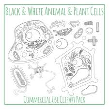 We did not find results for: Cells Plant And Animal Cells Diagrams In Black And White Commercial Use In 2021 Plant And Animal Cells Cell Diagram Black And White
