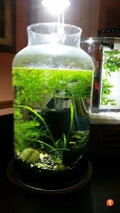 5 Gallon Vase Betta Tank Aquarium Fish Nano Tank