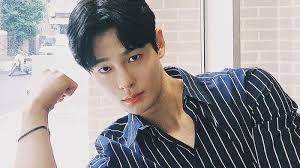 Cha In Ha Meninggal Dunia Begini Postingan Terakhir Instagram Aktor Drama Korea People With Flaws Halaman All Tribun Kaltim