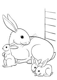 45 Disegni Di Conigli Da Colorare Pianetabambini It Disegno Coniglio Libri Da Colorare Disegni Da Colorare Per Bambini