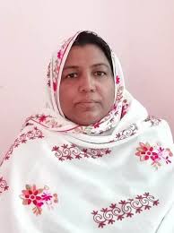 Seed Out Empowering the People