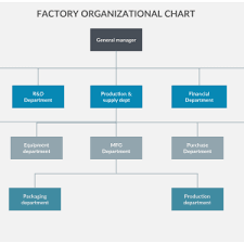 Company Organization Chart New Factory Organizational Chart