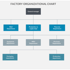 company organization chart new factory organizational chart