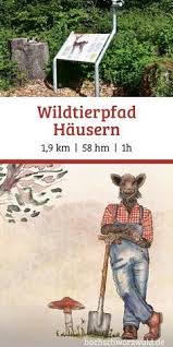 Wildtierpfad Hausern Hochschwarzwald Tourismus Gmbh Hochschwarzwald Schwarzwald Schwarzwald Urlaub