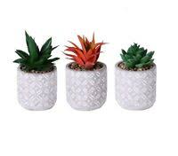Great savings & free delivery / collection on many items. Set 6 Mini Artificial Small Succulent Cactus Cacti Plants Glass Pot Stones Ebay