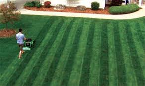 Lawn Stryper Cool Material Lawn Striping Diy Lawn Lawn