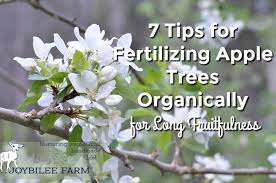 It contains probiotic seven champion strains of soil microbes that helps to developing root. 7 Tips For Fertilizing Apple Trees Organically For Long Fruitfulness