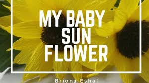 Tumbuhan yang lebih dikenal dengan bunga kertas ini mempunyai banyak varietas. Diy Sunflower Paper Flower Tutorial Bunga Matahari Dari Kertas Crepe