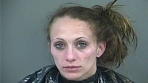 Greer woman charged after I-85 police chase
