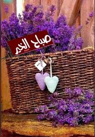 صباح جميل يحمل معه كل الخير إن شاء الله صباحكم خير ومحبة صباح الخير صباح نس good morning photos good morning images blessed friday