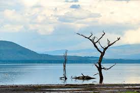 Nakurusee von mapcarta, die freie karte. Top Reiseziele Kenia Lake Nakuru Nationalpark Venter Tours