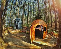 37 Tempat Wisata Di Temanggung Paling Hits 2020 Yang Wajib Dikunjungi