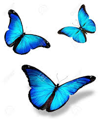 Tre Farfalla Blu Pittura A Farfalla Farfalle Disegni Di Animali Carini
