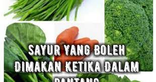 Artinya, dalam sehari disarankan mengonsumsi sekitar 450 kalori sayuran bagi yang. Maria Firdz Lifestyle Blogger