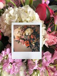 A koenigsegg ccxr trevita will cost you about $5 million, for instance, if you're into very fast cars. Flowers On Flowers Polaroid