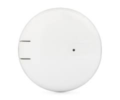 Best smoke and carbon monoxide detector for kitchen : Dsc Wst 600 Firefighter Smoke Co Alarm Audio Detector For Dsc Alarm Grid