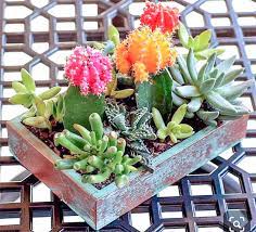 Lots of creative inspiration here! 29 Cutest Planter Ideas For Succulents Learn To Create Beautiful Things