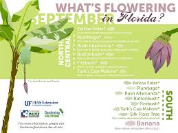 We did not find results for: Latest News The Garden Club At Palm Coast Come Grow With Us Page 7