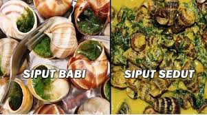 We did not find results for: Arif Afnan On Twitter Sedut Sekor Siput Babi 5 Ekor Siput Sedut Konfem Kenyang