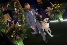 * على المصلي التقيد بما ورد عن النبي صلى الله عليه وسلم في صلاته ، قال المراجع : Zb5gmepa8o286m