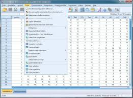Manual Spss Learn 19 For Android Apk Download