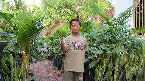 Tips Membuat Kebun Mini Di Samping Depan Belakang Rumah Anda