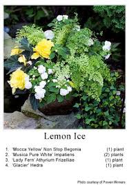 Container Garden Garden Design Rochester Mn Garden Center Garden Containers Plants Container Gardening